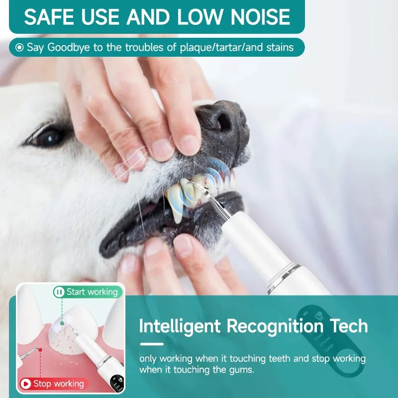 ECO CREST - Dog & Cat Dental Cleaning Tool with LED Light